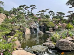 -罗红摄影艺术馆