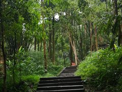-峨眉山报国寺