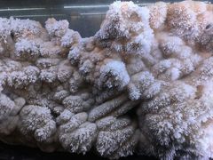 -湖南省地质博物馆