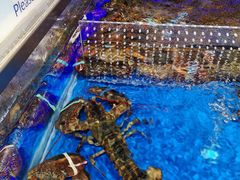 -盒马X会员店(王府井奥莱UP TOWN店)