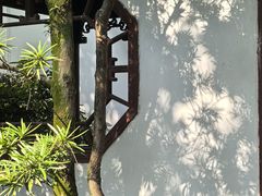 -上海醉白池公园