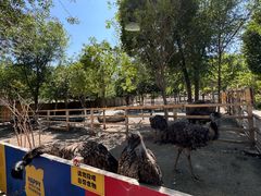 -水上乐园·欢乐世界