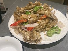 -生蚝园