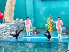 -龙谷湾旅游休闲度假区