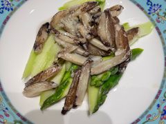 -新光酒家·河豚·海鲜·蟹料理(浦东店)