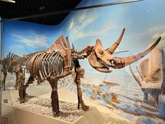 -国家自然博物馆