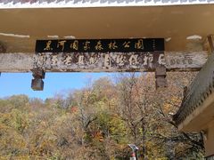 -黑河国家森林公园