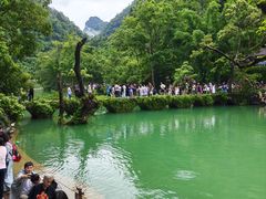 -佳荣老五生态牛肉馆