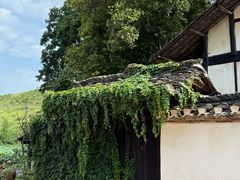 -山乡巨变第一村-周立波故居