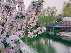 -陶然亭公园