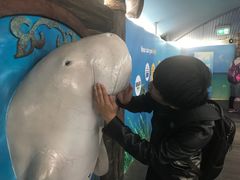 -悉尼海洋生物水族馆