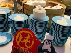 -帝企鹅自助餐厅•儿童岛•真企鹅(长隆企鹅酒店)