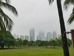 -万绿园