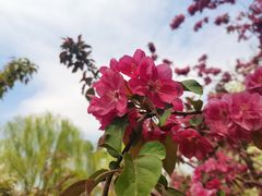 -元大都城垣遗址公园