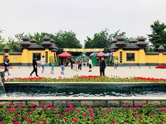 -御林古桑园