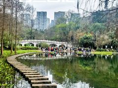 -重庆彩云湖湿地公园