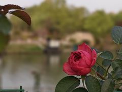 -溱湖八鲜菜馆