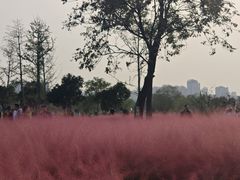 -汉长安城未央宫国家考古遗址公园