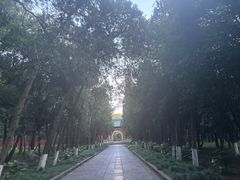 -灵谷景区