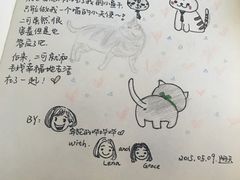 -海边的猫和咖啡馆