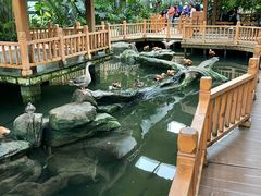 -南宫五洲植物乐园