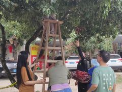 -满記土窑烧鷄波浪山莊