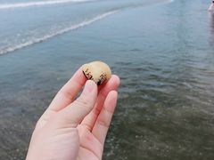 -台山黑沙湾海浴场