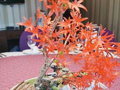 -和记小菜(大宁店)