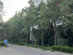-观唐（国际）度假村温泉