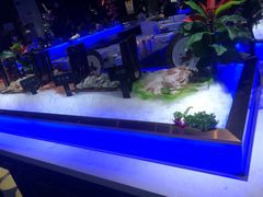 -加餐海鲜自助(宝龙一城店)