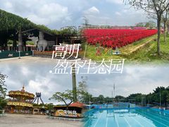 -盈香心动乐园