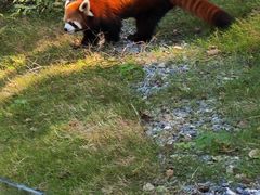 -武汉动物园