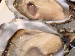 -Oyster Talks 四度蚝法餐厅