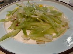 -丁老爷子苏香圆