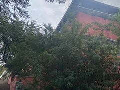 -妙峰山风景名胜区