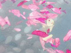 -金孔雀温泉旅游度假村