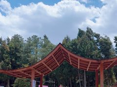 -彩色沙林风景区