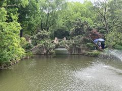 -上海醉白池公园