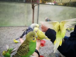 -萌宠亲子动物乐园(槐房万达店)