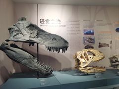 -自贡恐龙博物馆