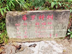 -海南热带雨林国家公园吊罗山景区
