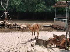 -无锡动物园·太湖欢乐园