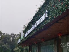 -熊猫主题餐厅