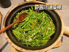 虾酱啫通菜梗-不二啫·广府啫啫煲(江燕路万科里店)