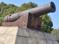 -上海吴淞炮台湾国家湿地公园