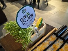 活体空心菜苗-阳坊涮肉(西直门凯德mall店)