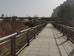 -灞河西岸滨河公园