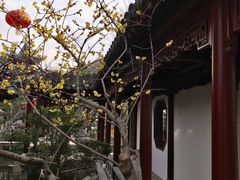 -檀园