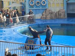 -华夏文旅海洋公园