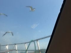 -海驴岛(荣成市)